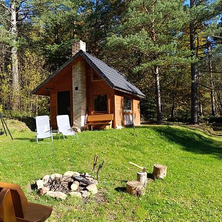 Survivalowa Chata W Lesie Bukowsko Exterior photo