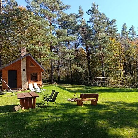 Survivalowa Chata W Lesie Bukowsko Exterior photo