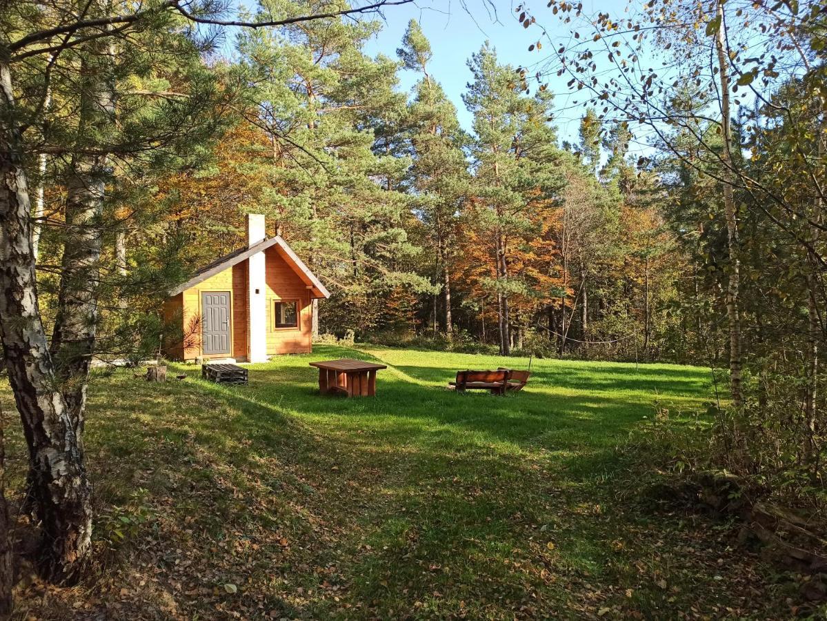 Survivalowa Chata W Lesie Bukowsko Exterior photo