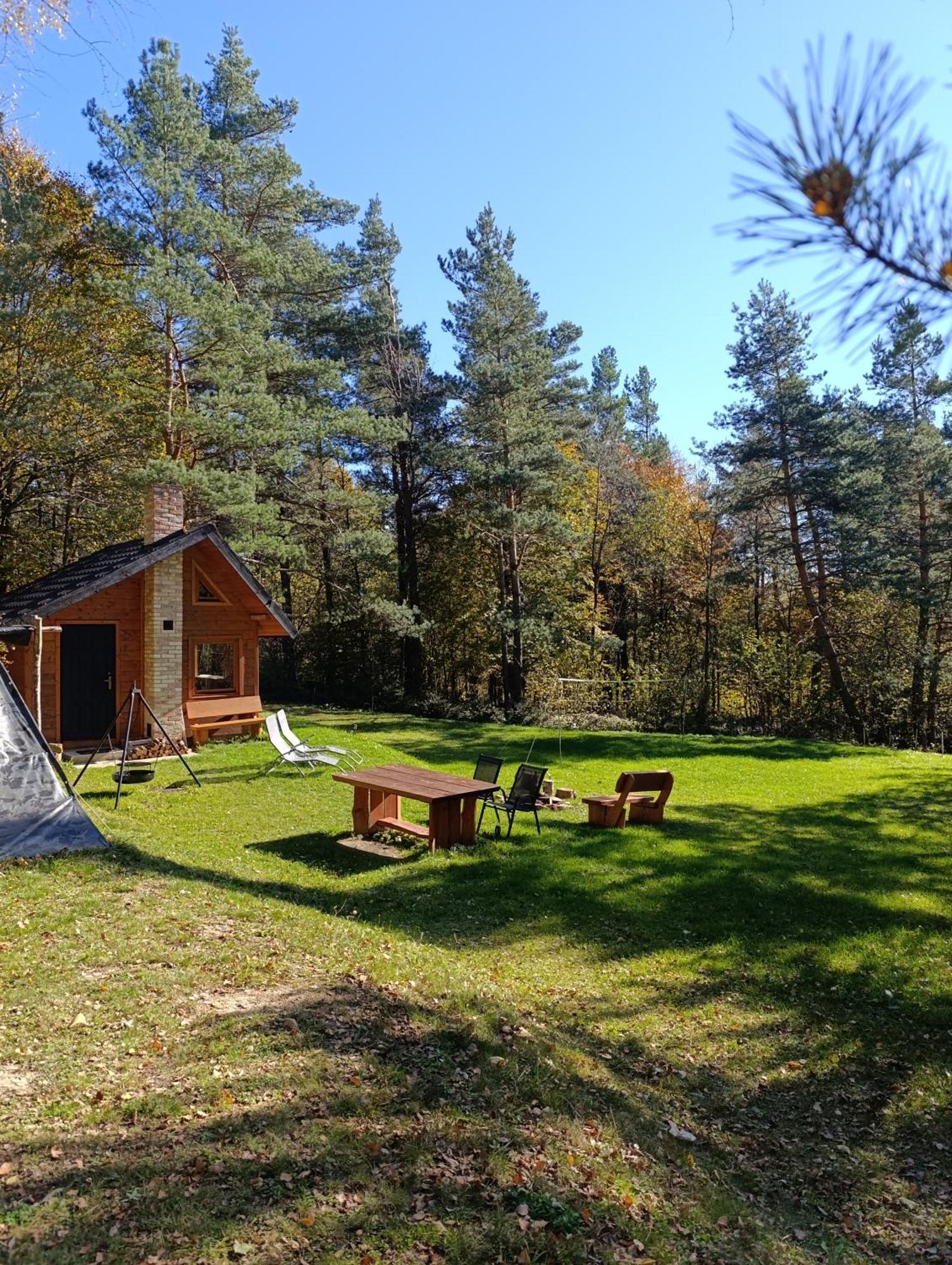 Survivalowa Chata W Lesie Bukowsko Exterior photo